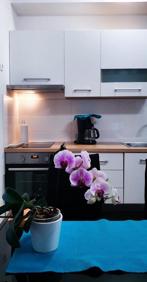 Radenka Zafron Apartment Vodice Extérieur photo